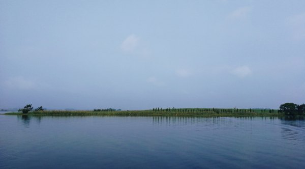 横县茉莉花之乡中华茉莉园,欢迎来到广西横县茉莉花之乡