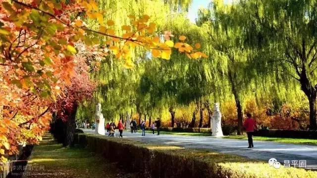 昌平北七家亲子游玩推荐,昌平一日游景点大全集