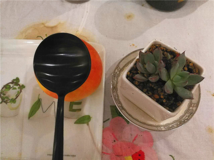 用心去感受生活的美好,MaisonMaxx纯色不锈钢餐具试用