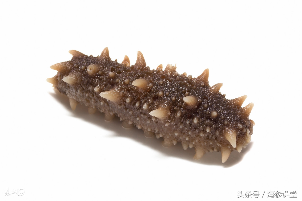 泡发好海参怎么做简单又好吃,海参有保质期吗如何泡发海参