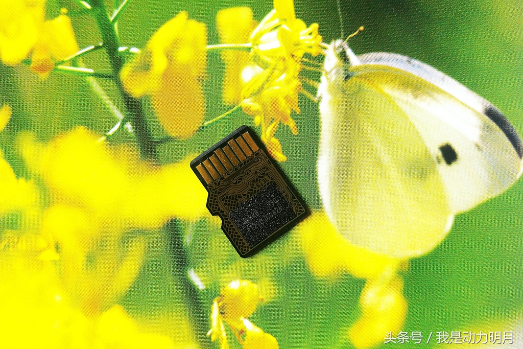 东芝m303评测,东芝m302
