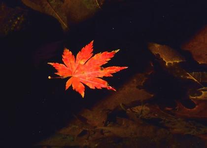 不同斑点的医美祛斑方法,斑淡适合哪种祛斑方法