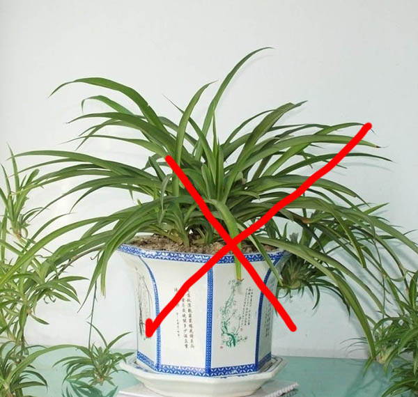 除甲醛最简单有效的方法是什么,除甲醛最有效最科学的方法