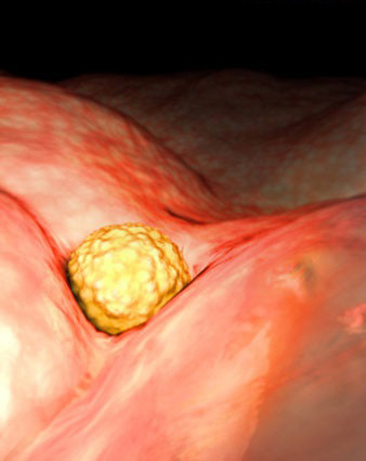 这组高清3D图，带你了解胎宝宝1-40周生长发育全过程