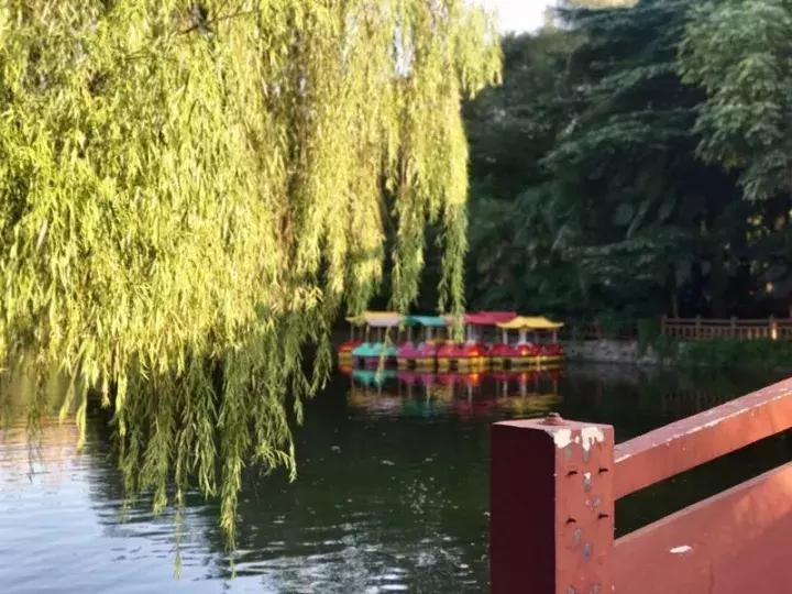 信阳烤鱼哪家好吃,信阳本地烤鱼最好吃的店