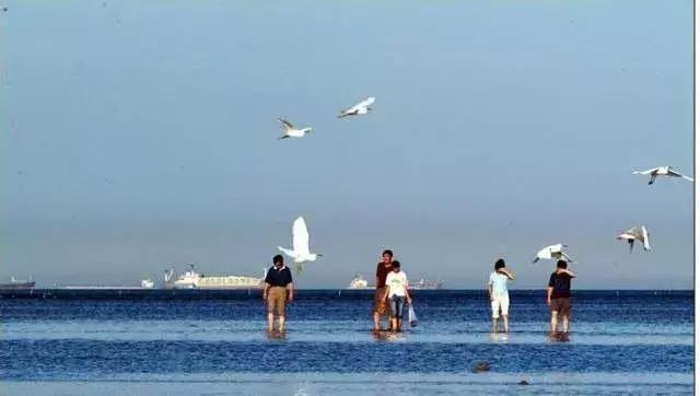 国庆冬秋双节去哪儿最好玩,国庆双节去哪里玩最好