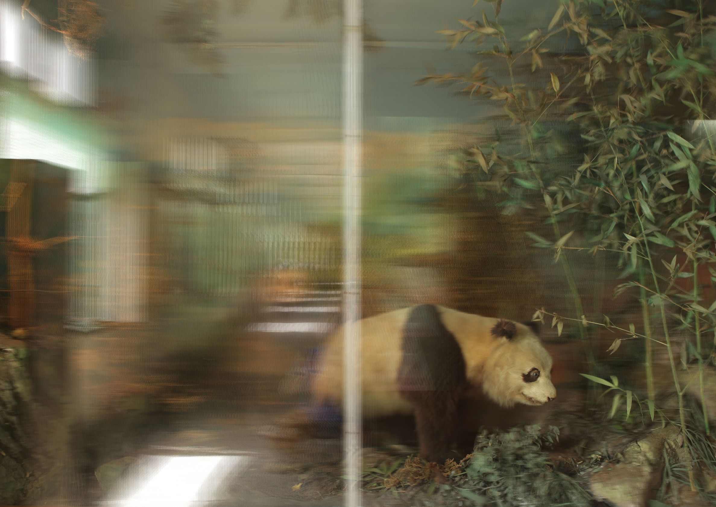 深圳青年影像节,深圳国际光影艺术季灯光节