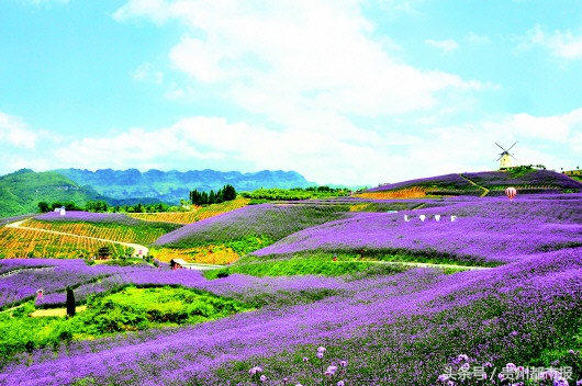 贵州有多少个4A景区,贵州旅游攻略4a及以下免费景区