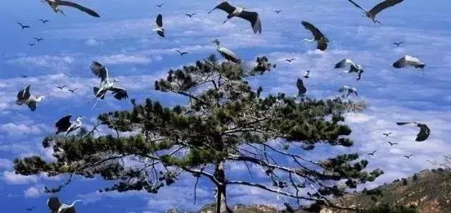 国庆冬秋双节去哪儿最好玩,国庆双节去哪里玩最好