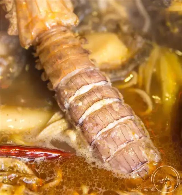 超大爆膏濑尿虾,巨型爆膏濑尿虾