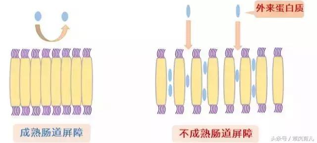 江湖告急｜小主喝奶粉过敏，怎么办？