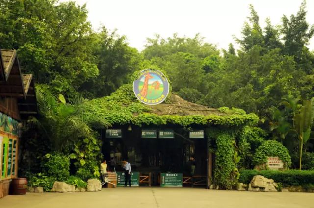 广州长隆野生动物园吃东西攻略,广州长隆野生动物园吃喝攻略