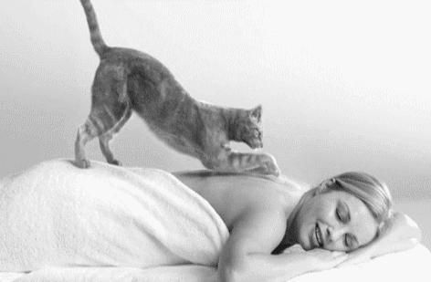 中秋除了月饼送什么给爸妈,中秋除了月饼还可以送什么