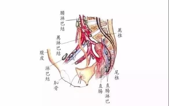 身边的12种致命毒素,八大症状暗示你体内毒素超标