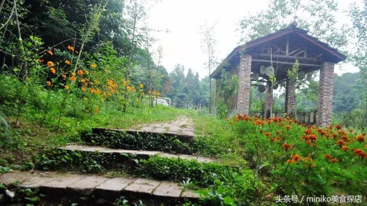 成都周边农场推荐,成都周边最有特色的农场