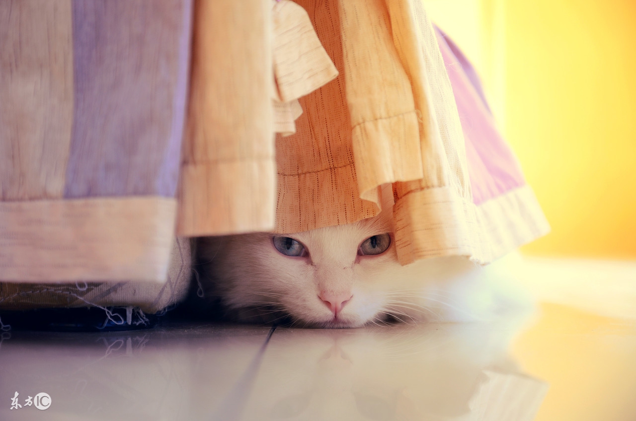 行为疗法经典条件反射,行为治疗理论技术是什么