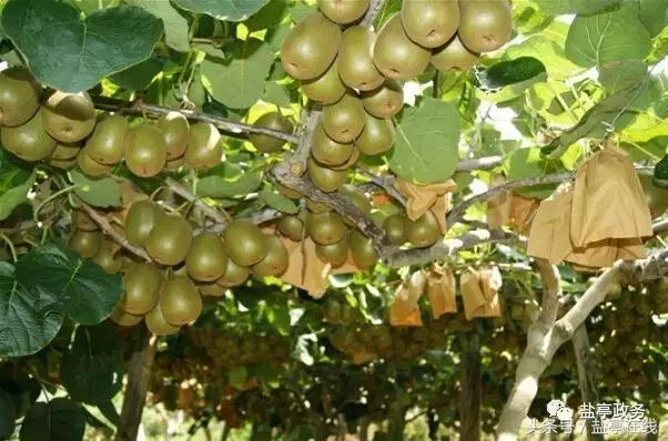 三分钟让你读懂盐亭的前世今生！