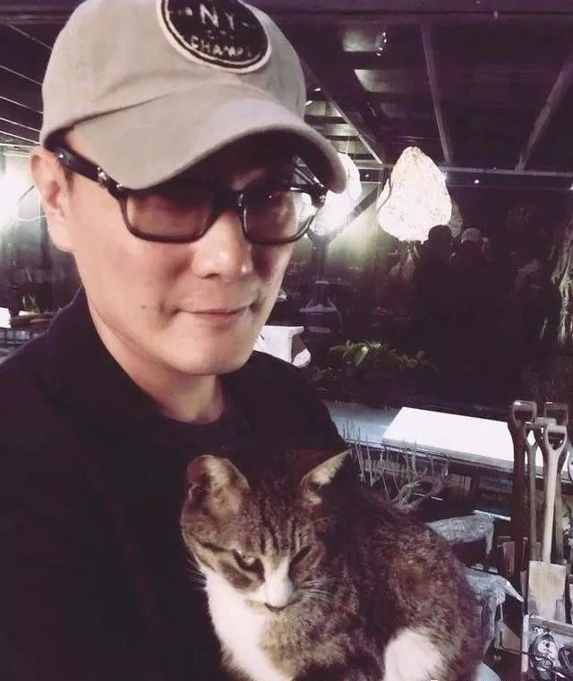 张信哲救猫,张信哲救人歌曲