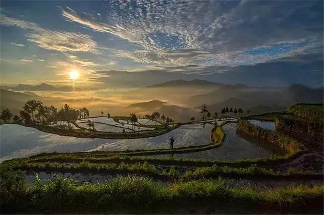 风吹稻浪黄金灿原创,风吹稻田金灿灿原文