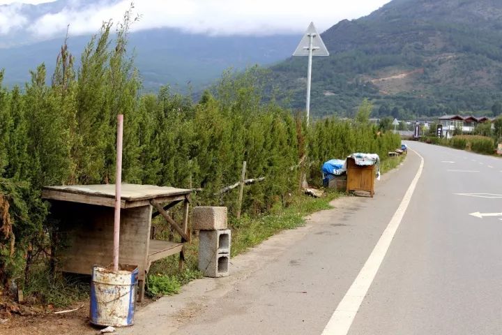 丽江拉市海马场现状,丽江拉市马场最新消息