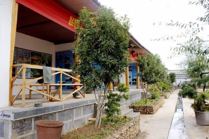 丽江拉市海马场现状,丽江拉市马场最新消息