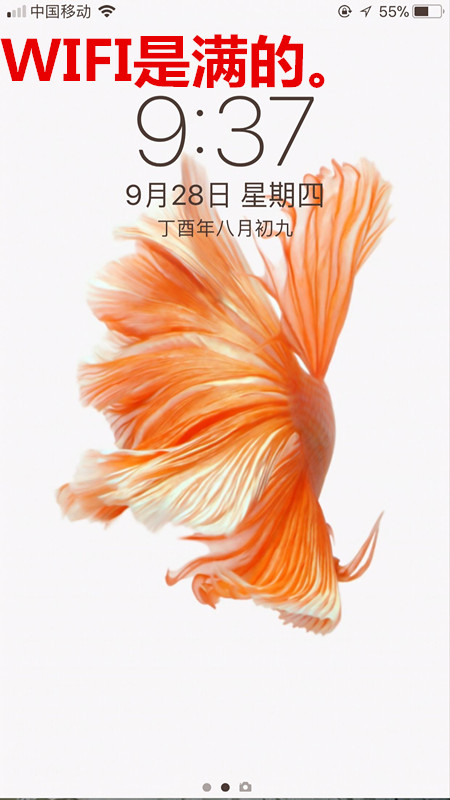 手机能上网但打不开网页怎么回事,手机浏览器打不开网页是什么原因