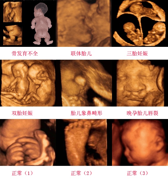 惊艳震撼的5d电影,超逼真的5d电影
