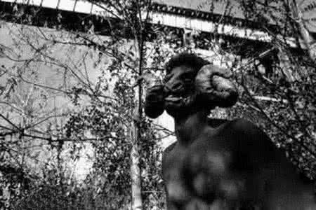 盘点全球十大恐怖怪物,世界十大恐怖海底怪物