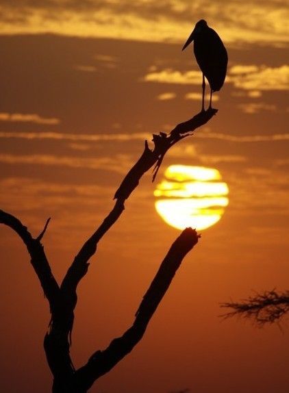 诗词鉴赏人生,诗词鉴赏人