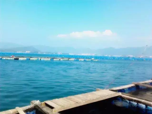 广东免费沙滩旅游景点大全,广东珠海沙滩哪里最好玩