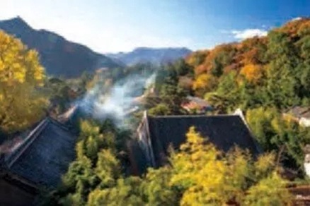 北京不容错过的赏花路线,北京香山红叶林观看最佳时间