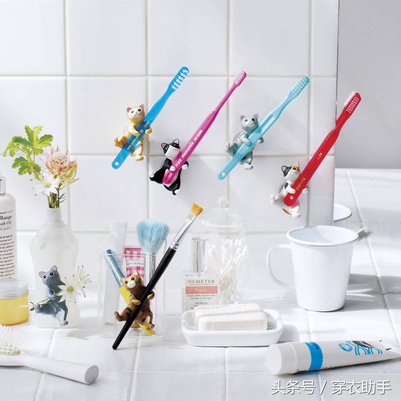 提升猫咪智商的玩具,提高猫咪的生活品质