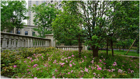 蠡湖瑞仕花园二期即将耀世首映!尊荣揽境,不是宽邸不足以匹配