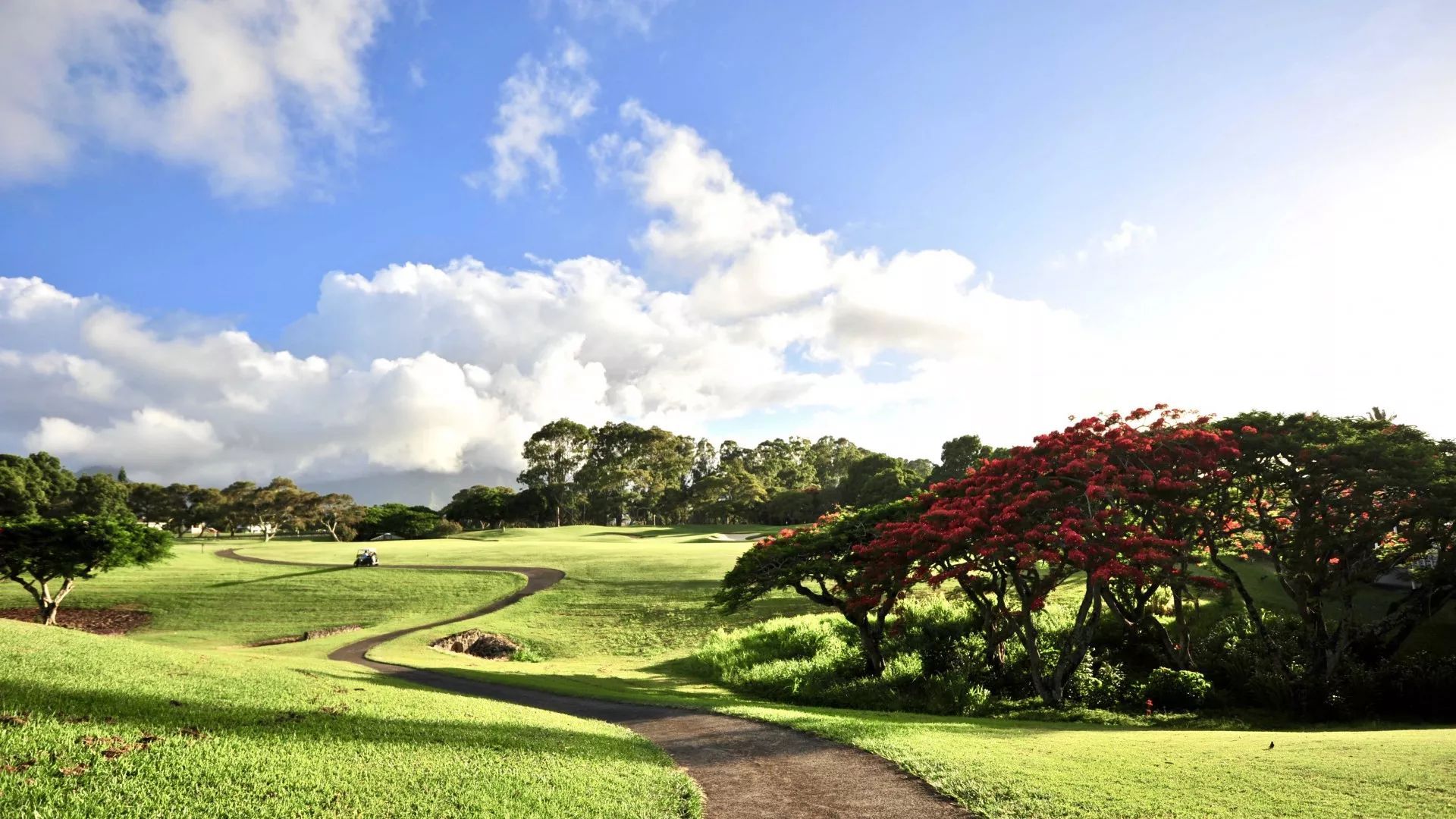 一封来自家乡的邀请函,夏威夷发来的邀请函