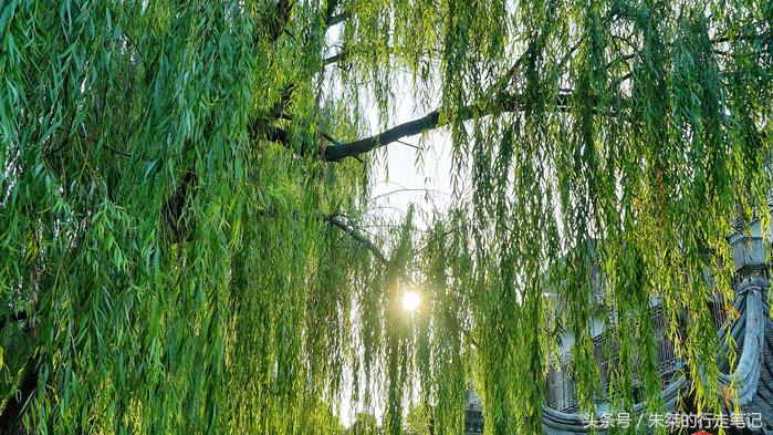 夜游南浔古镇感受江南水乡的美,江南六大古镇最值得一去的是南浔