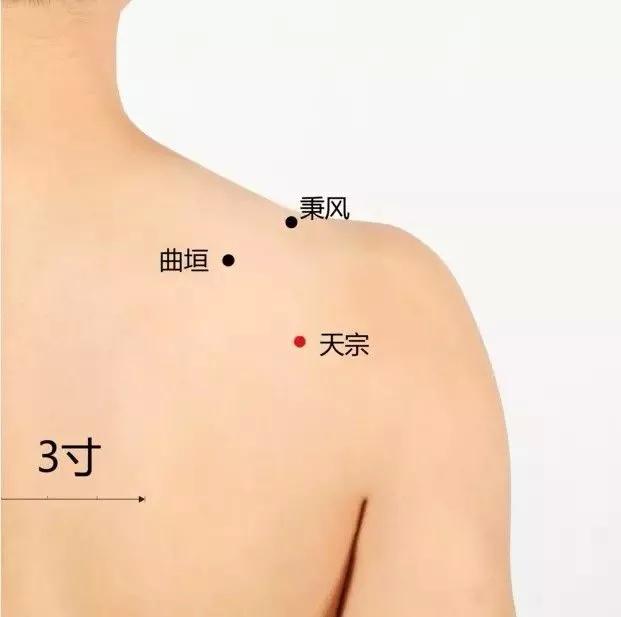 20个对身体有效黄金穴位,人体十大养生穴位