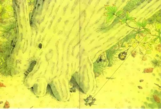 中秋国庆双节幼儿绘本,快快乐乐过中秋绘本