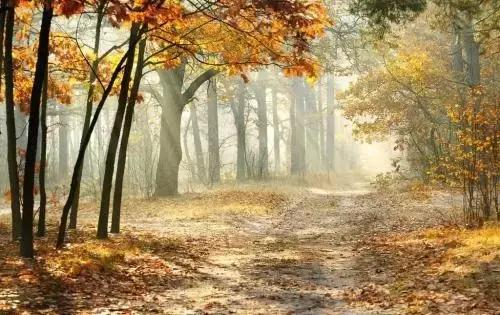 大西北旅游匈奴,一起游巴朗山