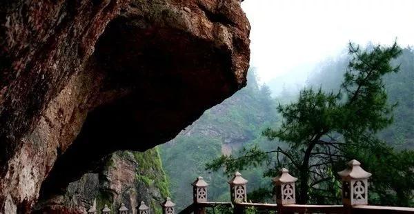 仙居美食餐厅推荐日料,仙居美食推荐