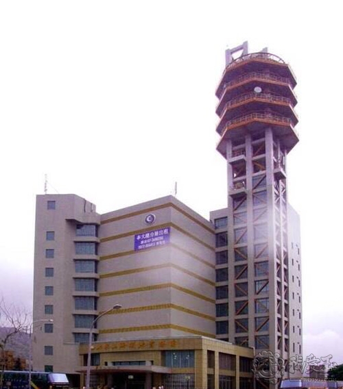 红珊瑚介绍,真正的红珊瑚是什么样的