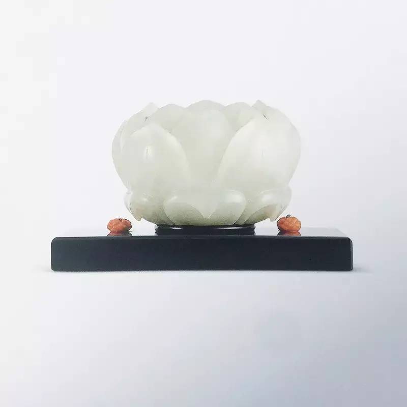 长知识升逼格｜来看看大蜥蜴国有多了不起