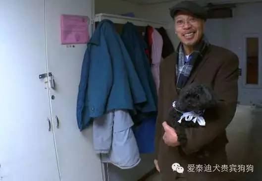 会坐电梯的狗狗,会坐电梯的泰迪