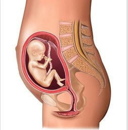 怀孕四个月母亲有什么症状,孕妈妈常见的五个表现