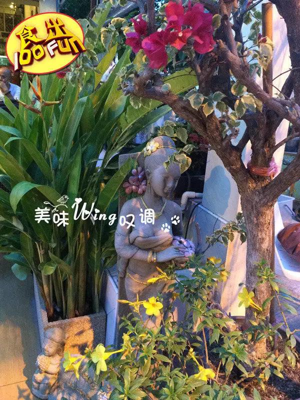 泰国清迈美食攻略,清迈马杀鸡店名推荐