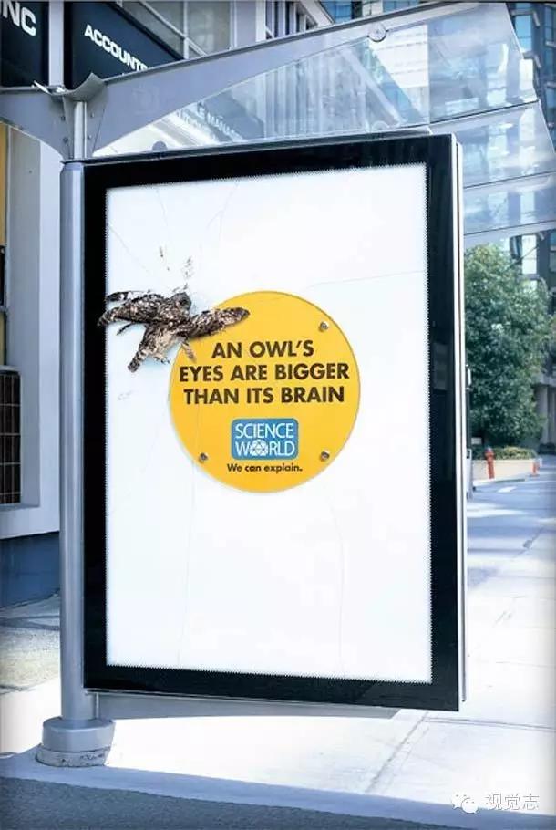 这些冷知识你都知道的吗,这些冷知识你都知道吗