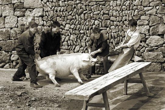 椒江潮人洪明辉，用相机记录乡愁