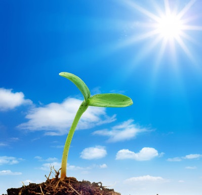 让艾灸发挥出最大功效,艾灸对阳虚的人有效果吗