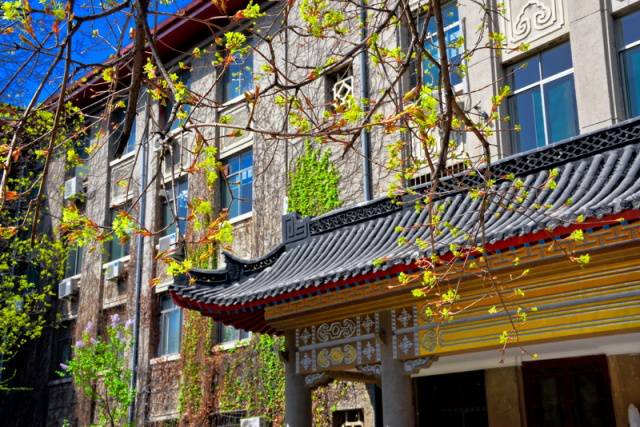 趣谈山大趵突泉校区，春风十里不如你