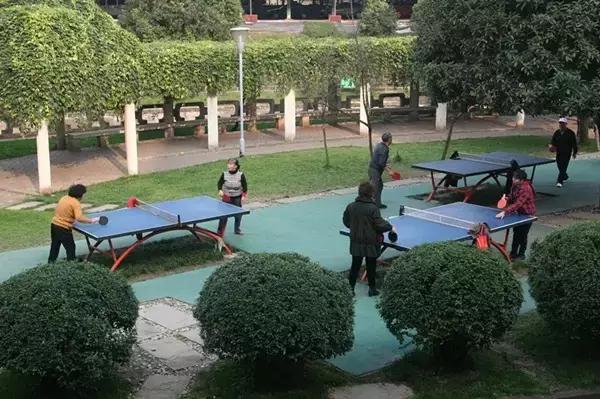 成都首个破亿的区,成都龙泉驿的发展