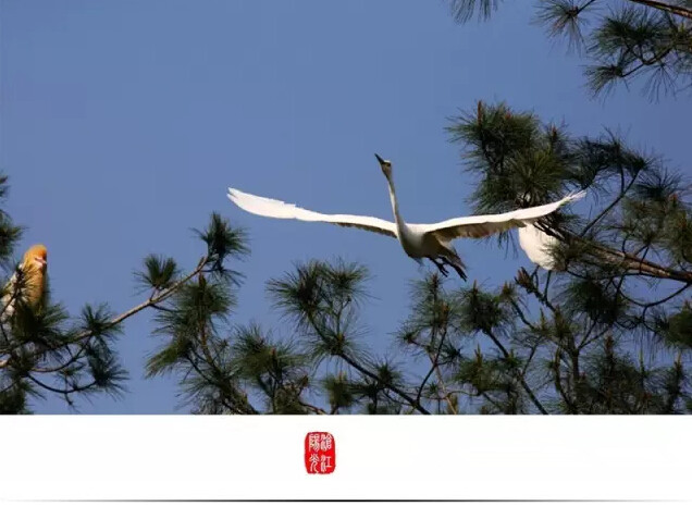 云南临沧美景图片,云南临沧旅行风景